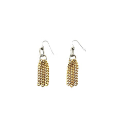 Load image into Gallery viewer, LJ Sonder Suki Tassel Earrings