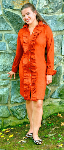 Gretchen Scott Ruffle Rumble Suede Dress