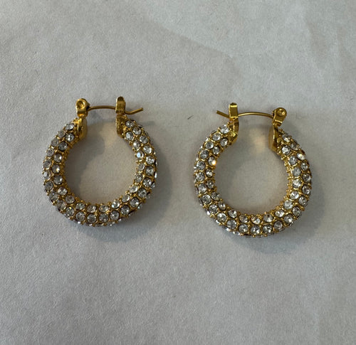 Small Hoop Rhinestone Earrings