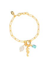 Load image into Gallery viewer, Sorrelli Seahorse Charm Tennis Bracelet-Blue